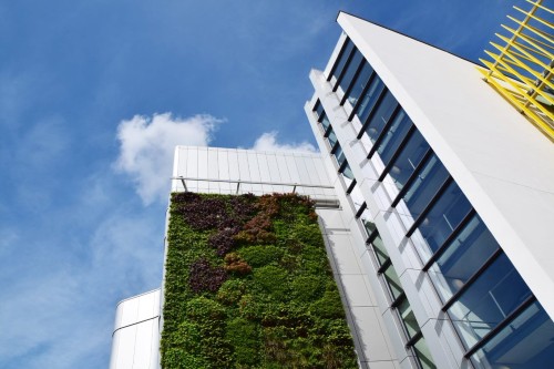 Green wall Life Sciences Building Bristol Uni